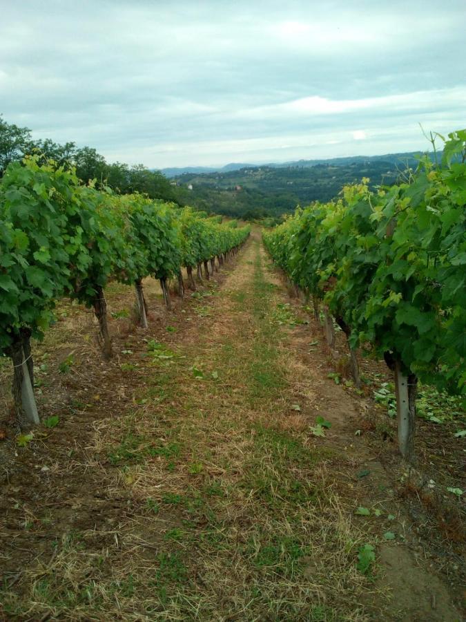 Apartmán Agriturismo Il Biancospino Bed & Wine Lerma Exteriér fotografie